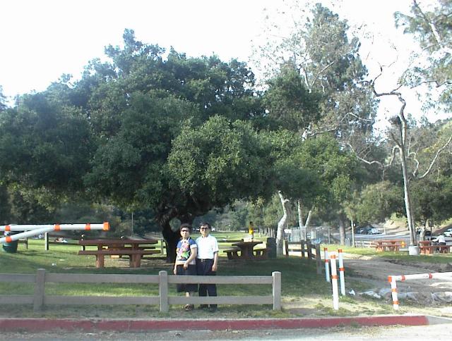 griffitipark2.JPG